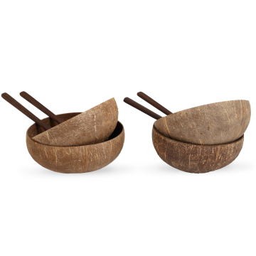 Natural Coconut Bowl & Kaşık Seti 4'lü