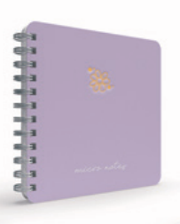 Gıpta Micro Notes Spiralli Sert Kapaklı Çizgili Defter (16x16)