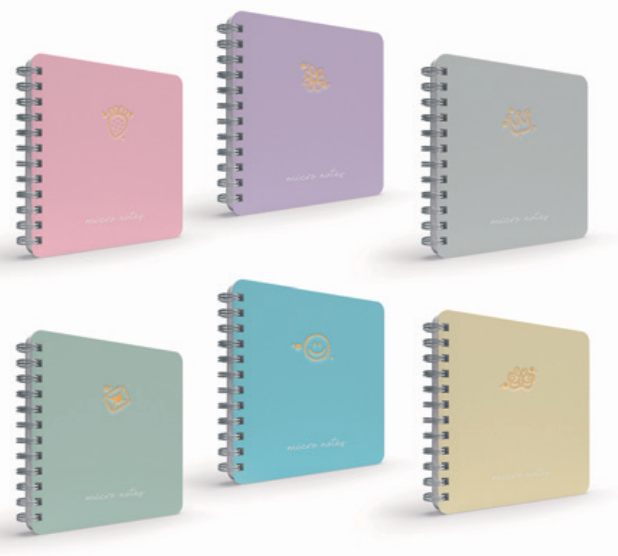 Gıpta Micro Notes Spiralli Sert Kapaklı Çizgili Defter (16x16)