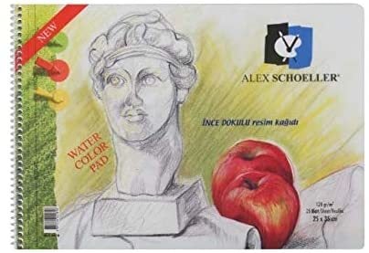 Alex Schoeller Resin Defteri 120 gr 25*35 cm