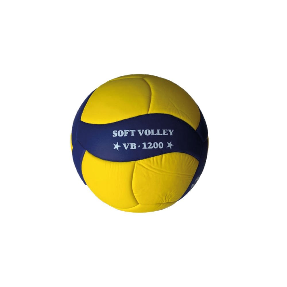 Can Sport Voleybol Topu