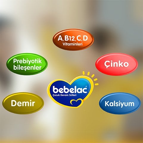 Bebelac 2 Devam Sütü 400 Gr 6-9 Ay