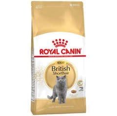 Royal Canin British Shorthair Yetişkin Kedi Maması 2 KG