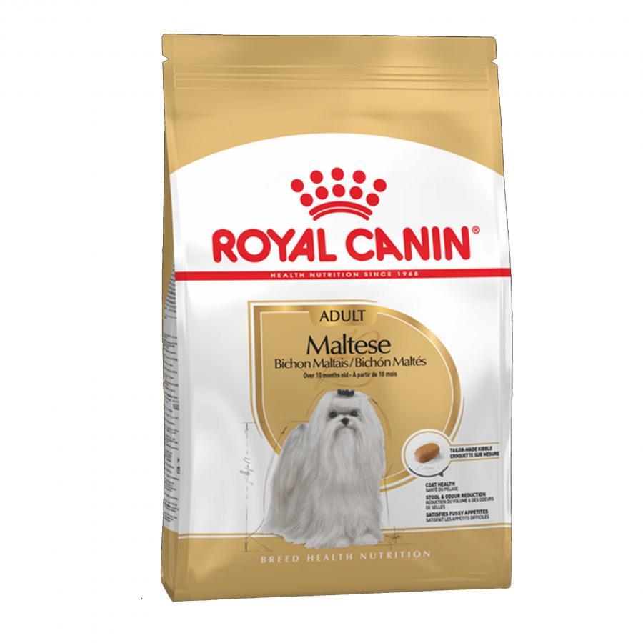 Royal Canin Maltese Terrier Yetişkin Köpek Maması 1.5 kg