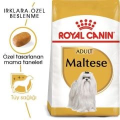 Royal Canin Maltese Terrier Yetişkin Köpek Maması 1.5 kg