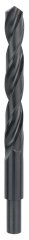 Bosch HSS-R 15,5*178 mm