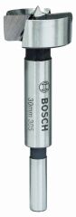 Bosch Menteşe Açma Ahşap Matkap Ucu 30 mm