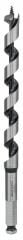 Bosch - Ahşap için Yılan Matkap Ucu 16*235 mm