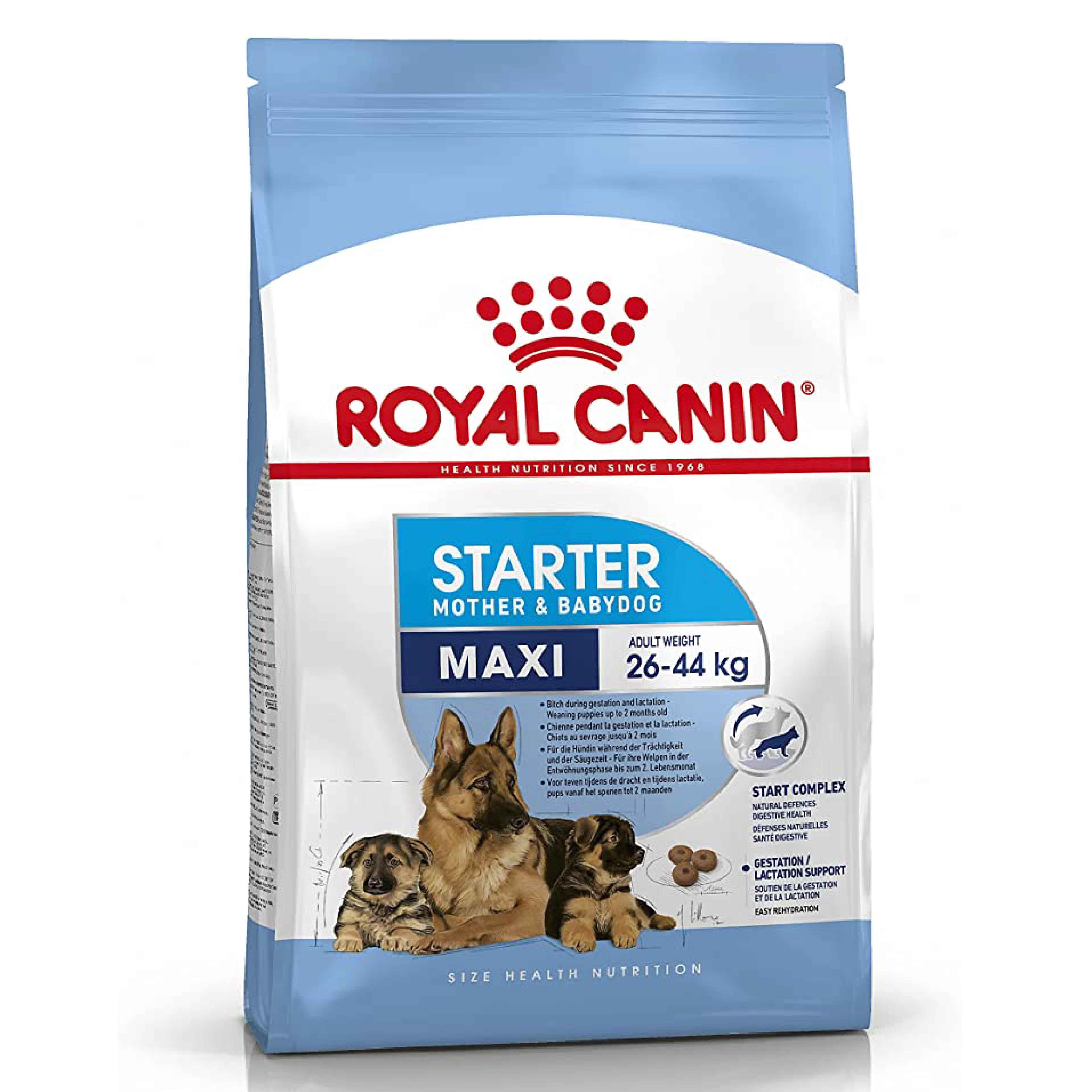 Royal Canin Maxi Starter Köpek Maması 15 Kg