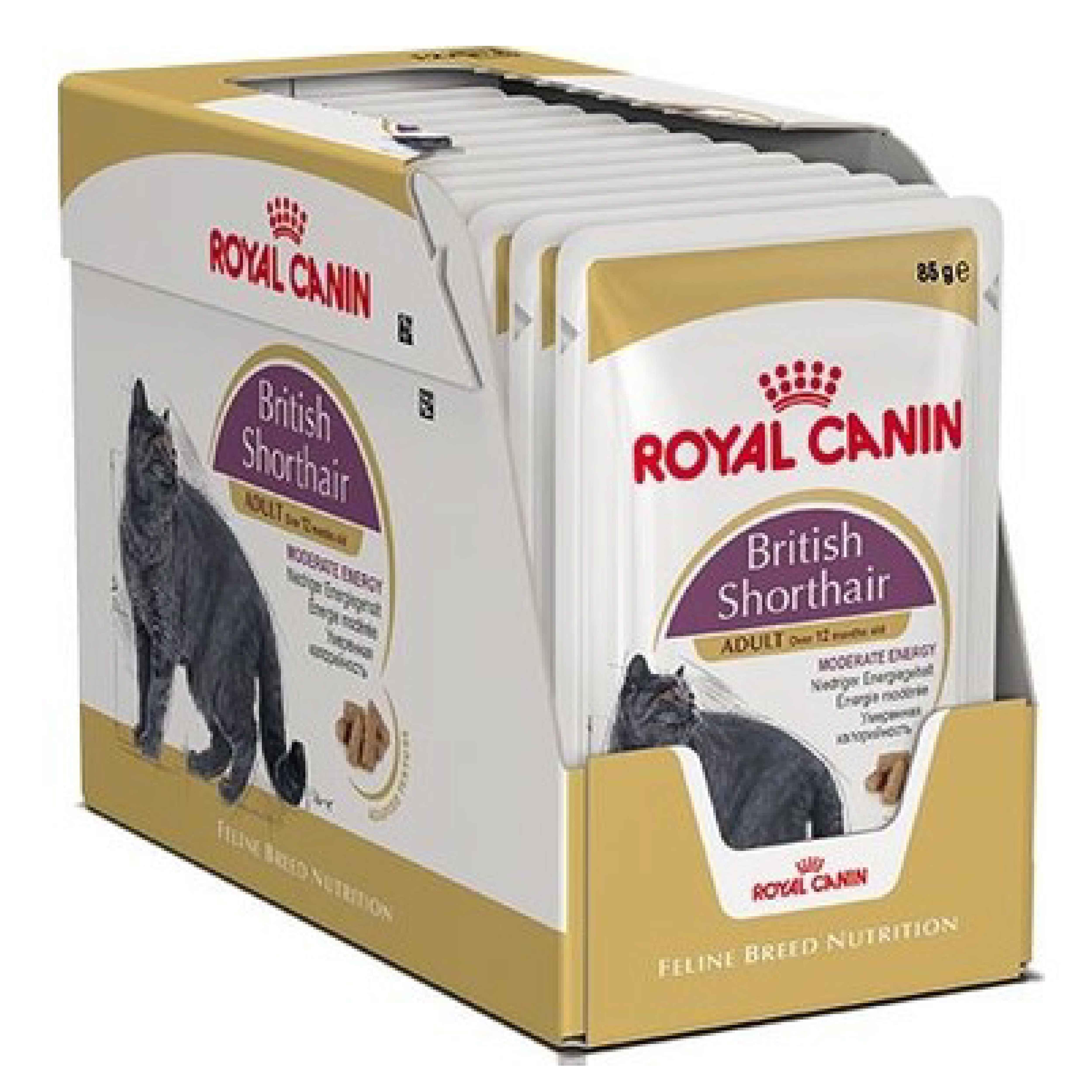 Royal Canin British Shorthair Yetişkin Pouch Kedi Konservesi 12x85 Gr