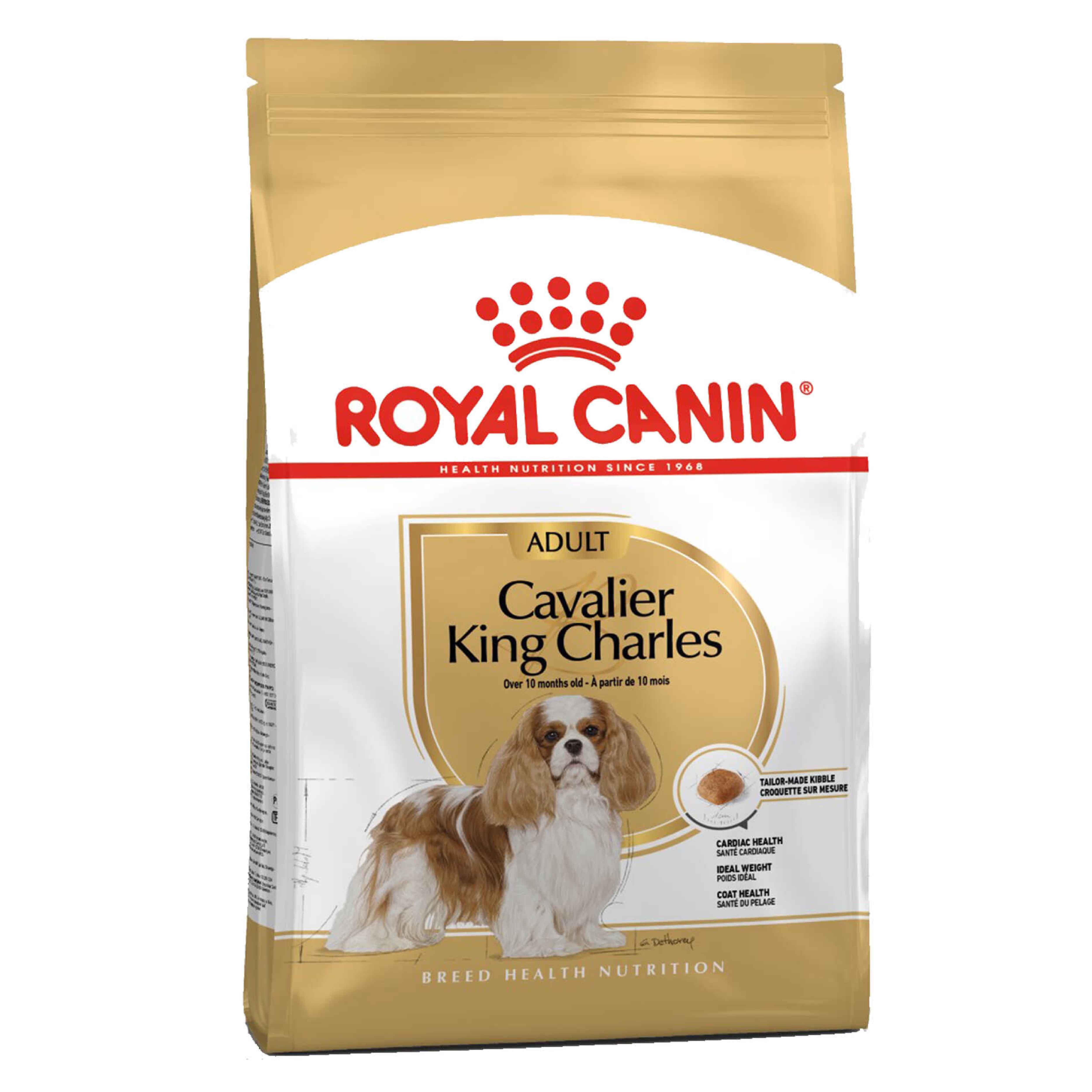 Royal Canin Cavalier King Charles Adult Yetişkin Köpek Maması 3 Kg