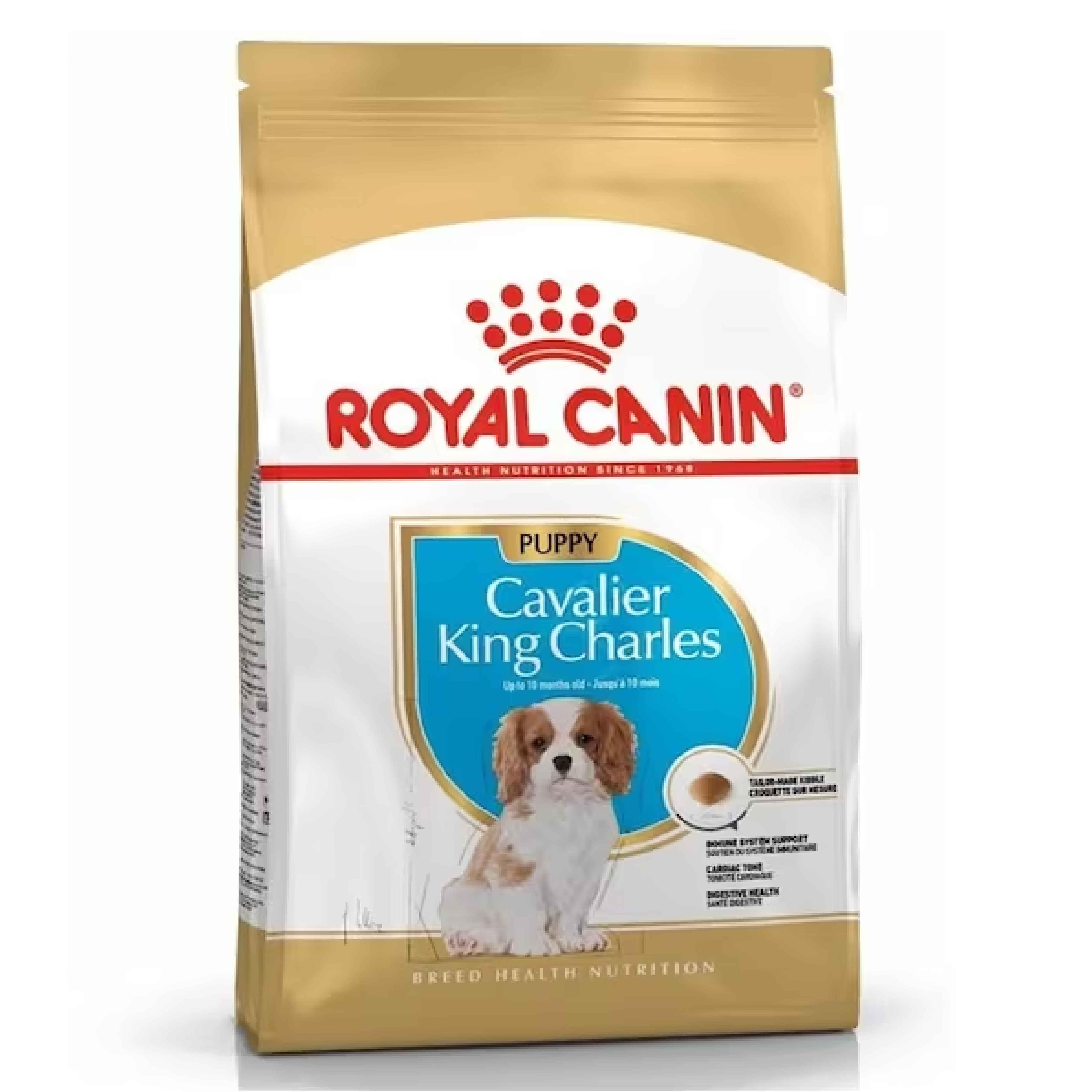 Royal Canin Cavalier King Charles Junior Yavru Köpek Maması 1,5 Kg