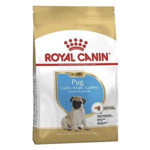 Royal Canin Pug Irkı Junior Yavru Köpek Maması 1,5 Kg