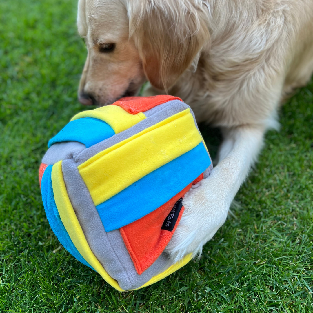 Köpek Zeka Küpü Jumbo XL Büyük Irk