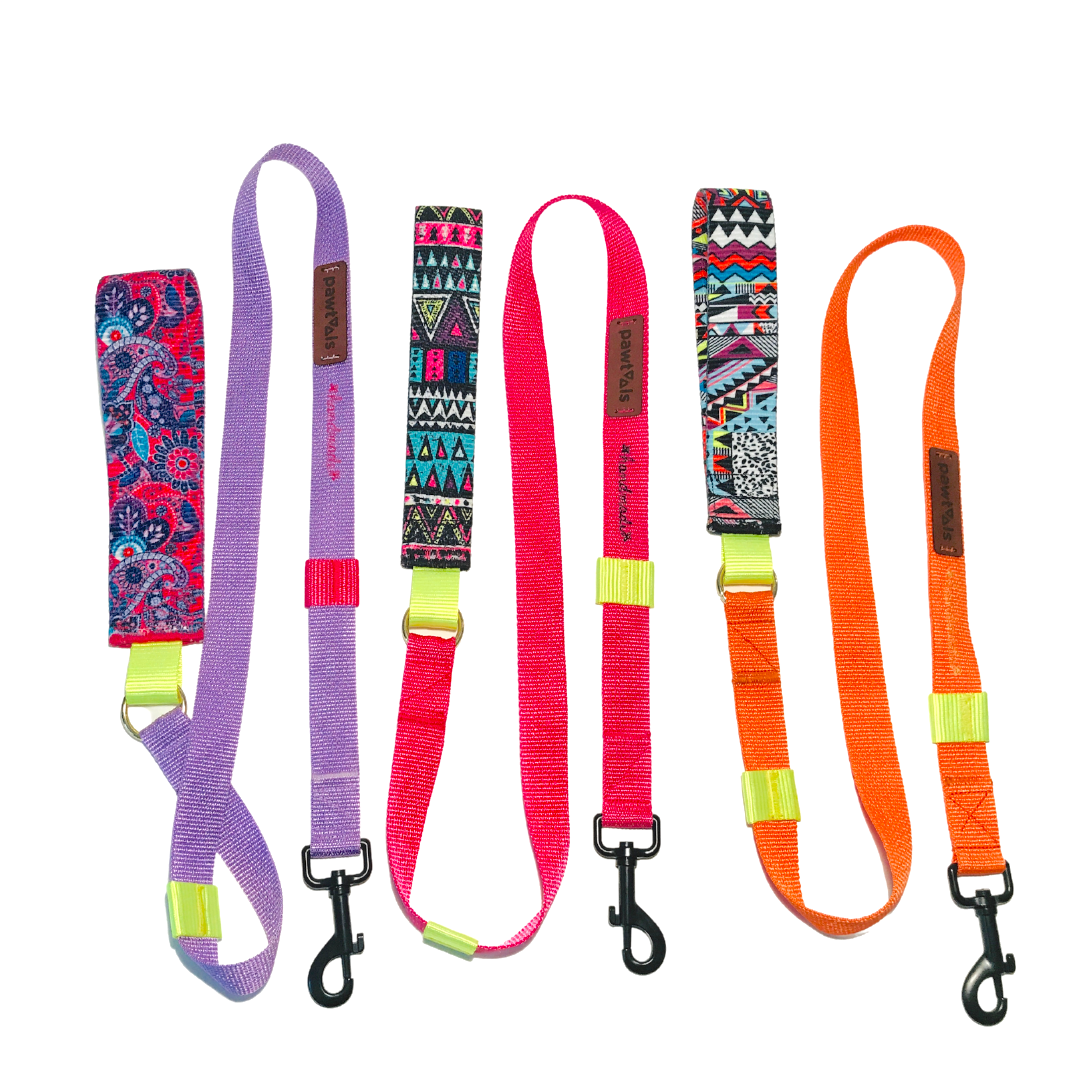 Funky Leash Köpek Gezdirme Kayışı