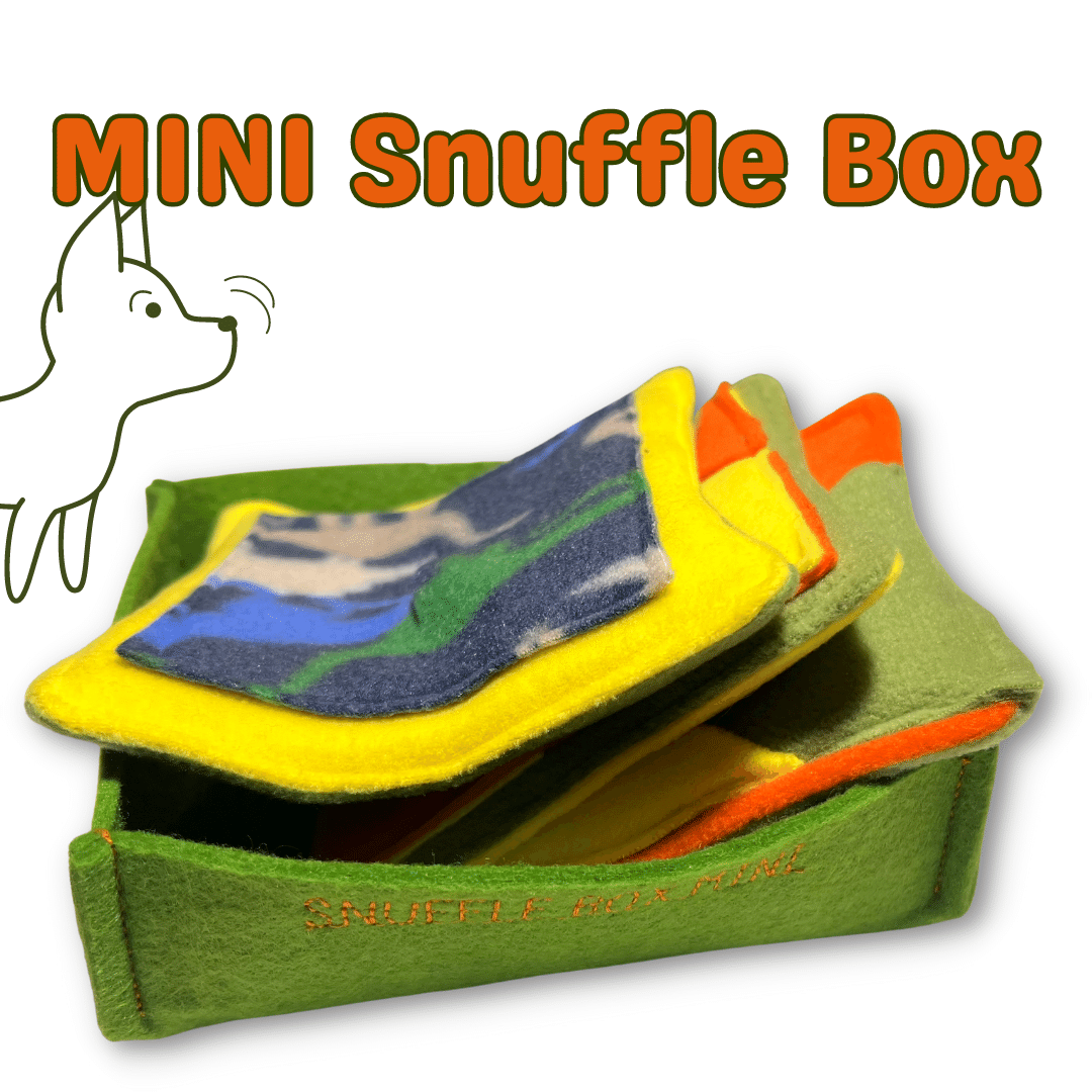 MINI Snuffle Box Nosework Oyuncak Seti | 3 Kare Koklama Matı