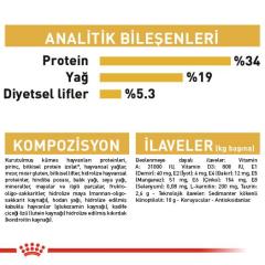 Royal Canin British Shorthair Yetişkin Kedi Maması 10 kg