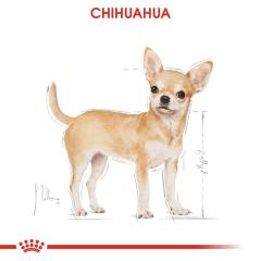 Chihuahua Yetişkin Köpek Yaş mama 85G.