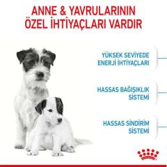 Royal Canin Mini Starter Küçük Irk Anne ve Yavru Köpek Maması 4 Kg