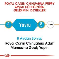 Royal Canin Chihuahua Junior Yavru Köpek Maması 1,5 kg