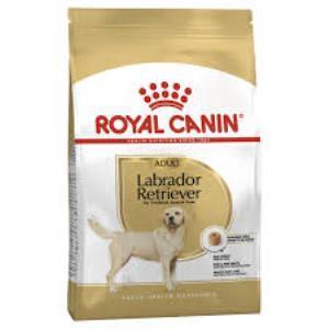 Royal Canin Labradorlar İçin yetişkin Köpek Maması 12 kg