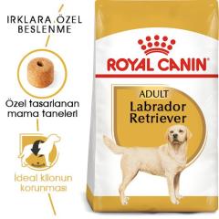 Royal Canin Labradorlar İçin yetişkin Köpek Maması 12 kg