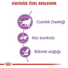 Royal Canin +7 Yaş Üzeri Kısırlaştırılmış Kedi Maması 3,5 Kg