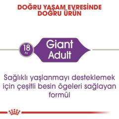 Royal Canin Giant Adult Dev Irk Köpek Maması 15 Kg