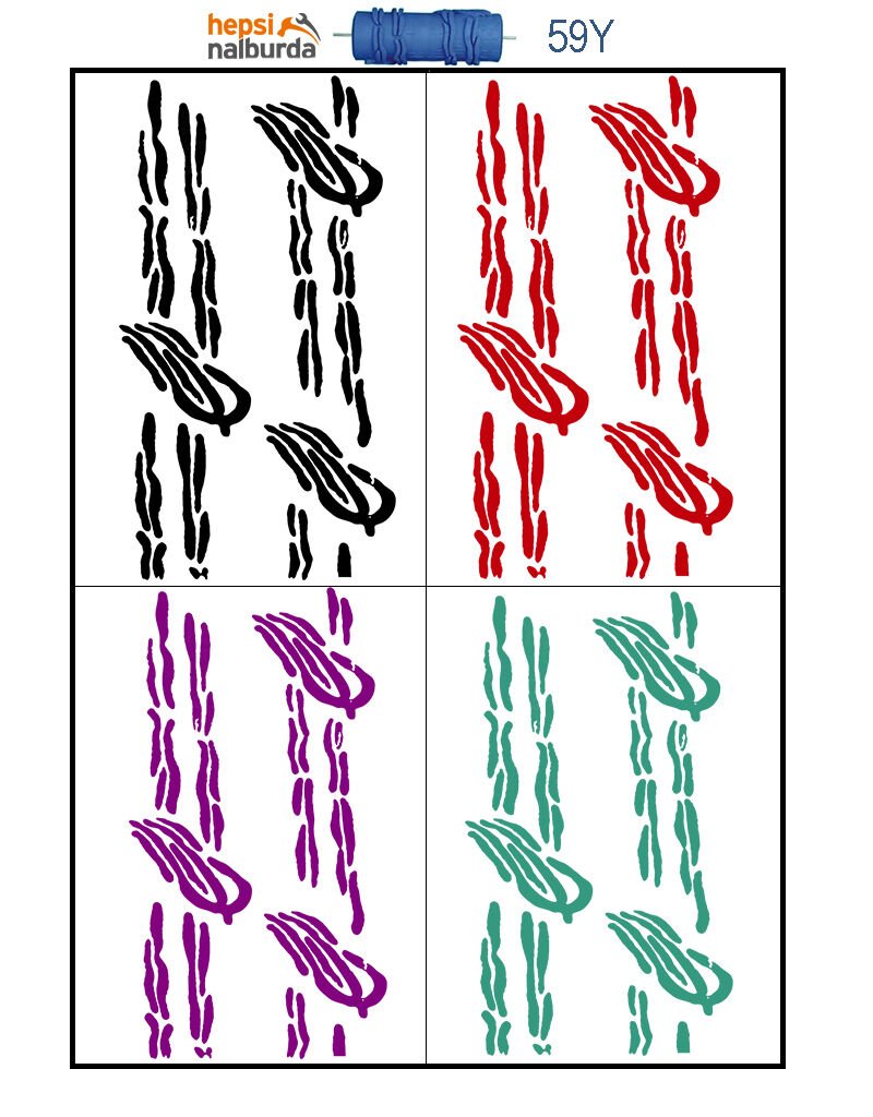 Plus Proline Dekoratif Desenli Rulo Yedeği 059Y