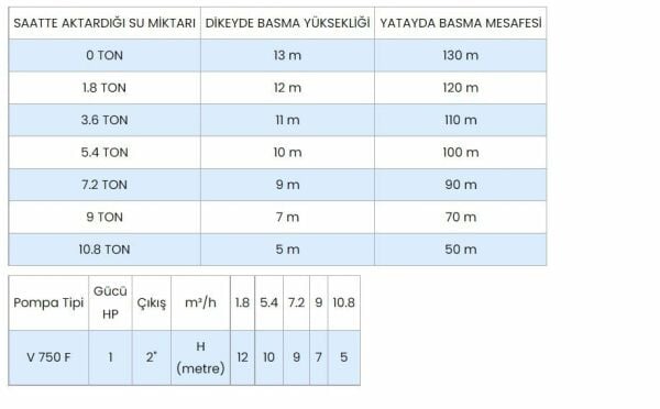 WINPO WNP 750 F Flatörlü Drenaj Dalgıç Pompa