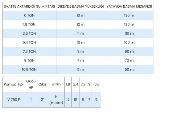 WINPO WNP 750 F Flatörlü Drenaj Dalgıç Pompa