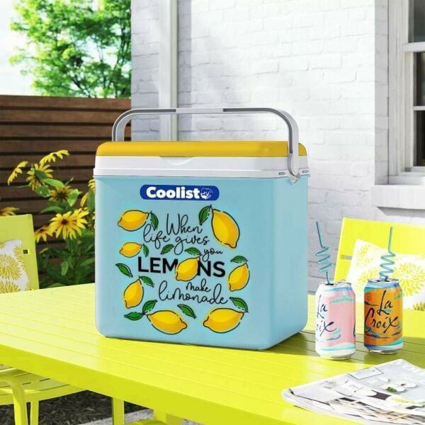 COOLIST CLB24LM 2 Adet 400 Gr Buz Kaseti + 24 Litre Limon Desenli Buzluk
