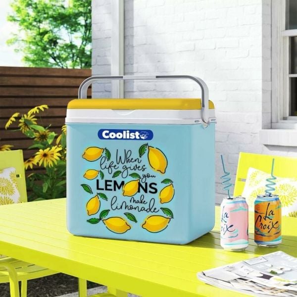 COOLIST CLB30LM 3 Adet 400 Gr Buz Kaseti + 30 Litre Limon Desenli Buzluk