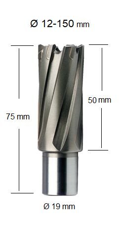 FePowerTools TCT Elmas Uçlu Manyetik Matkap Ucu 20 x 50 mm
