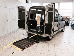 DHOLLANDİA DH-PH1.03 300 KG