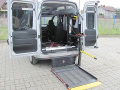 DHOLLANDİA DH-PH1.03 300 KG
