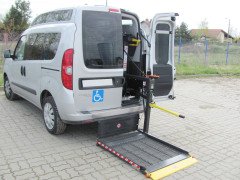 DHOLLANDİA DH-PH1.03 300 KG