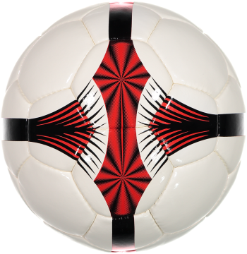 SELEX Professional 5 No Futbol Topu