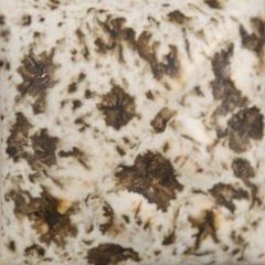 SW155 Winter Wood Stoneware Sır