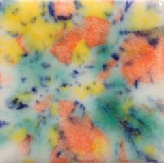 CG981 Fruity Freckles Seramik Sır