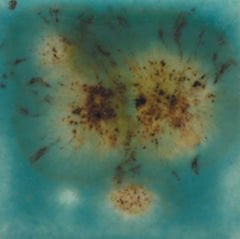 S2724 Lotus Blossom Seramik Sır