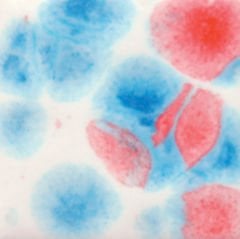 S2731 Kaboom Seramik Sır