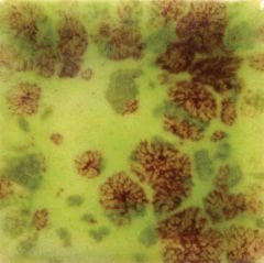 CG717 Pistachio Seramik Sır