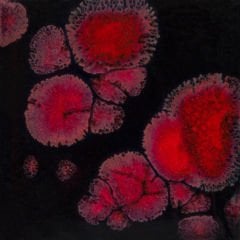 CG779 Black Opal Seramik Sır