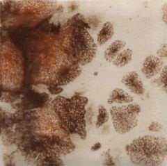 CG795 Yadro Print Seramik Sır