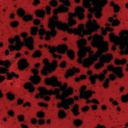 CG984 Ladybug Seramik Sır
