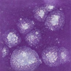 S2723 Grape Divine Seramik Sır