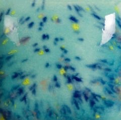 SP209 Speckled Jaded