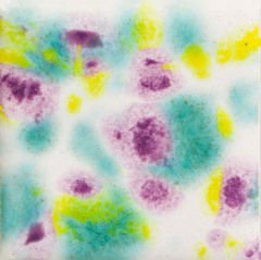 CG999 Jazz Notes Seramik Sır