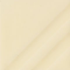 FN201 Golden Clear